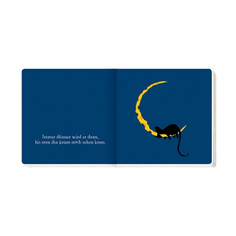 Coppenrath Verlag Die Maus im Mond Мышь на луне