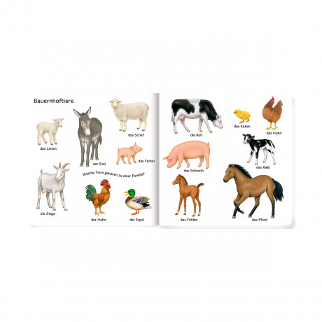 Coppenrath Verlag 100 erste Tiere 100 первых животных