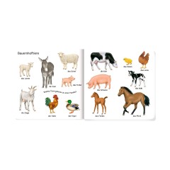 Coppenrath Verlag 100 erste Tiere 100 первых животных