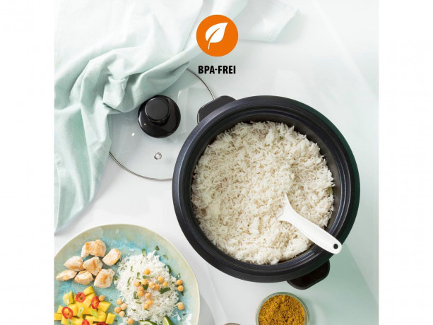 Tristar Tristar Reiskocher Tristar RK-6127 Reiskocher Edelstahl, 500 W  Рисоварка Tristar Рисоварка Tristar RK-6127 нержавеющая сталь, 500 Вт