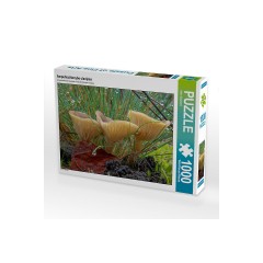 CALVENDO Puzzle CALVENDO Puzzle Ampulloclitocybe clavipes Пазл CALVENDO Puzzle Ampulloclitocybe clavipes