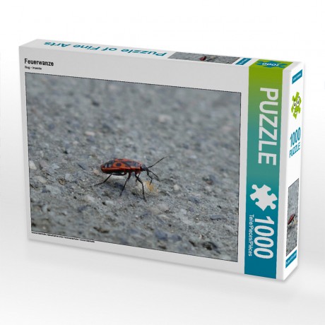 CALVENDO Puzzle CALVENDO Puzzle Feuerwanze Пазл CALVENDO Puzzle огненный жук