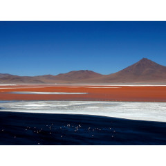 CALVENDO Puzzle CALVENDO Puzzle Laguna Colorado Пазл CALVENDO Пазл Лагуна Колорадо