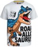 LEGO T-Shirt fur Jungen Футболка для мальчиков